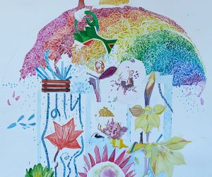 Protea rey, Sudafrica