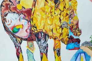 Rinoceronte negro, Mozambique, Eswatini y Sudáfrica