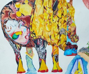 Rinoceronte negro, Mozambique, Eswatini y Sudáfrica